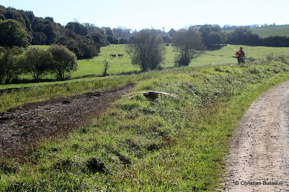 10659218_392998227524446_4639214997783278547_n